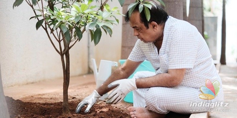 Pic Talk: Brahmanandam participates in Haritha Haram