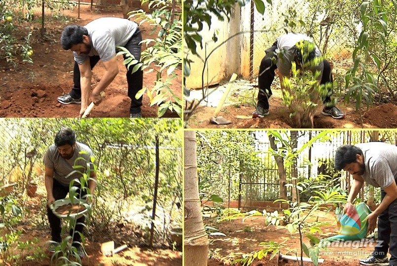 Chiranjeevi takes up green challenge