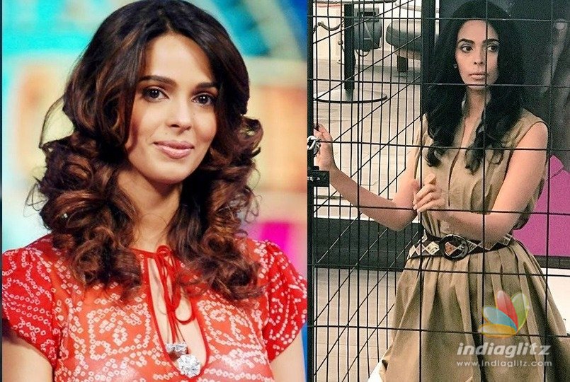 Mallika Sherawat in cage!