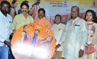 'Mass Power' Audio Launch