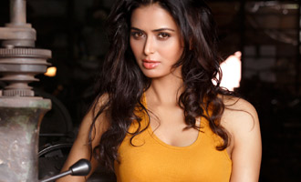 Meenakshi Dixit bags a biggie!