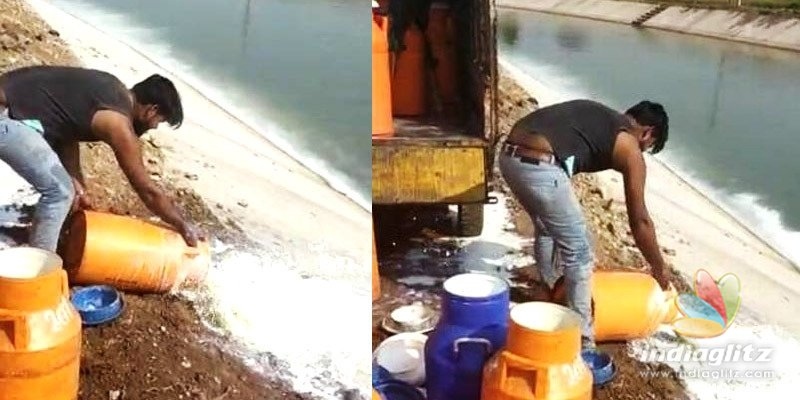 COVID-19 Effect: 1,500 litres of milk thrown into canal!