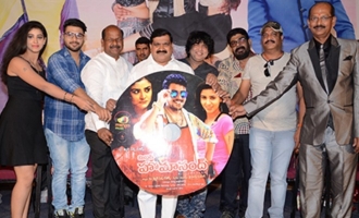 'Mr Homanand' Audio Launch