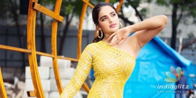 Nidhhi Agerwal opens up about her role in Pawan Kalyans Hari Hara Veera Mallu