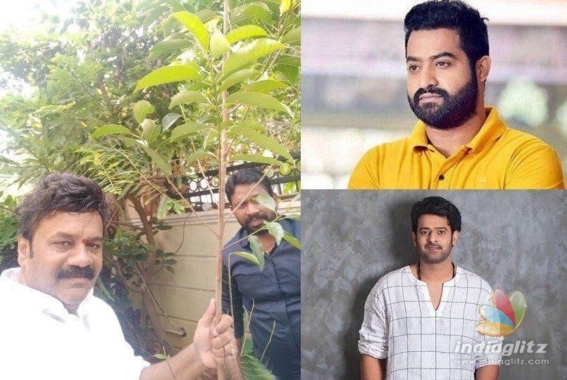 NTR, Prabhas challenged!