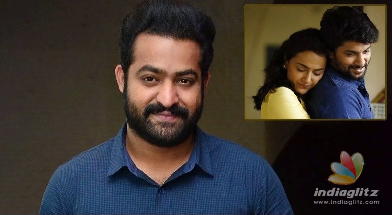 Jersey is brilliant, brilliant, brilliant: NTR