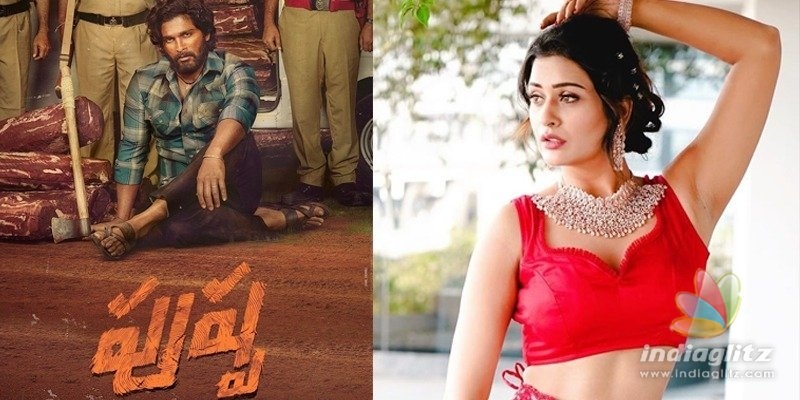 ‘పుష్ప’ కోసం పాయ‌ల్ స్పెష‌ల్‌?