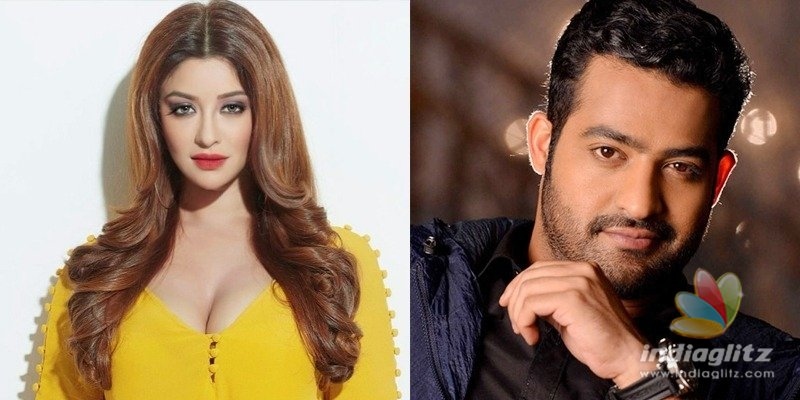 Payal Ghosh has a humble request to Jr NTR