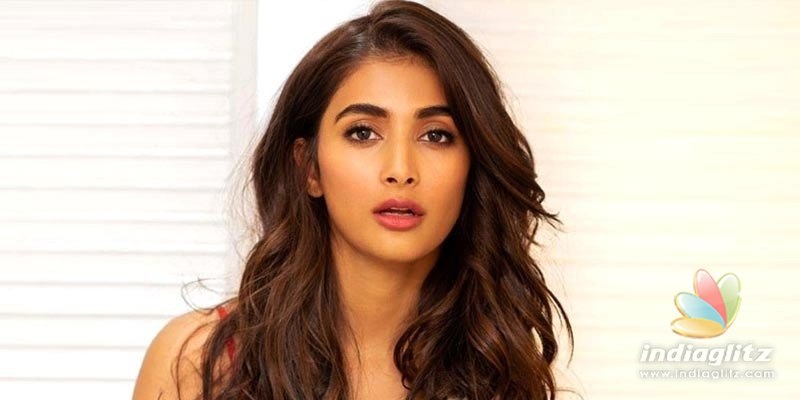 When Pooja Hegde irritated star hero