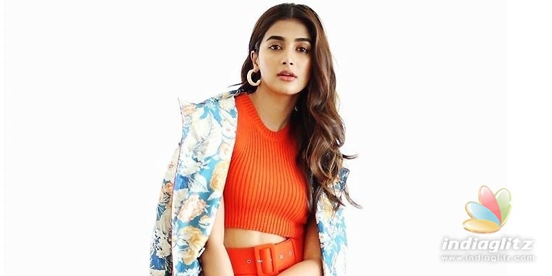 Pooja Hegde does reverse gear for superstars movie