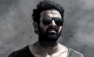 South Korean Superstar In Prabhas' Salaar: Part 2?