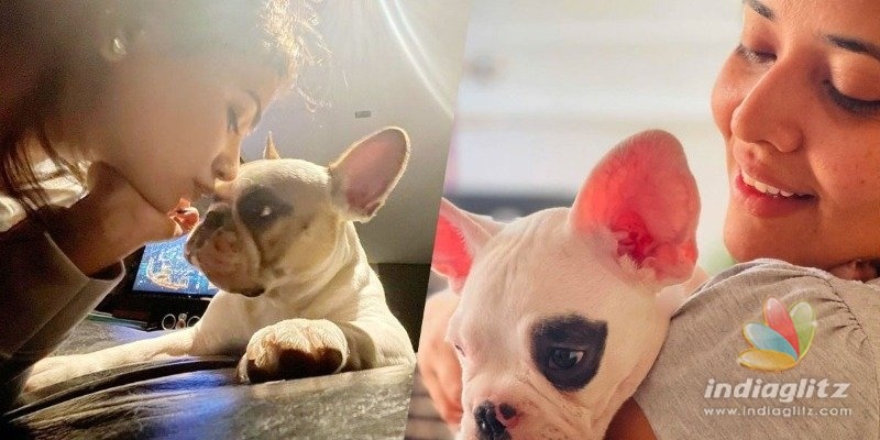 Pic Talk: Fur babies of Samantha, Anasuya look similarly cute