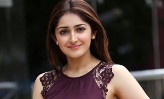 Is Akhil actress Sayyeshaa pregnant Read this to know