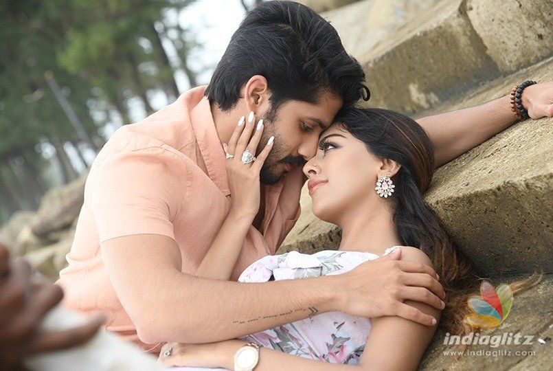 Shailaja Reddy Alludu latest worldwide collections