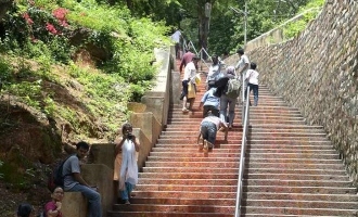 Tirumala: తిరుమలలో మరోసారి చిరుతల కలకలం.. భయంతో భక్తులు..