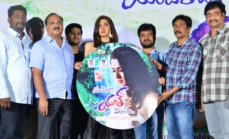 'Yenti Raja Youth Ila Undi' Audio Launch