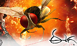 Eega Preview