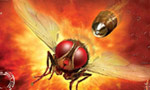 Eega Review